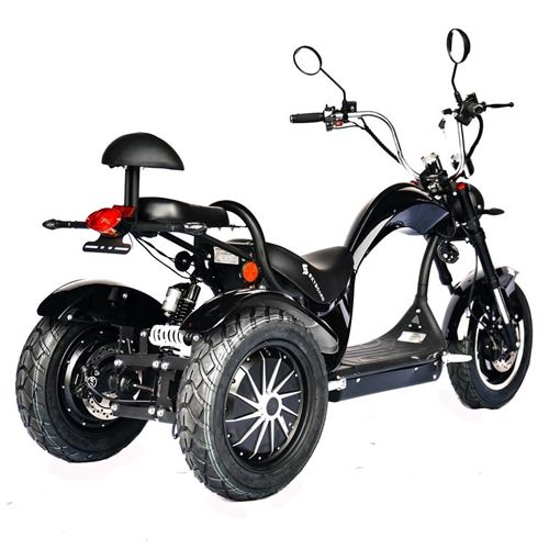 Электроскутер SKYBOARD Elbrus TRIKE CHOPPER-4000 W